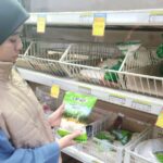 Waspada! Harga Cabai Melambung dan Stok Telur Menipis di Kalsel Menjelang Lebaran IMG-20260303-WA0007