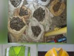 IMG-20260821-WA0169